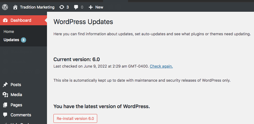 What Are WordPress Updates?